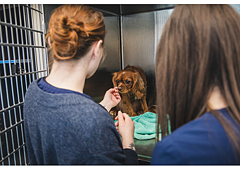 Mirabel Cliniques Vétérinaires Clinique Vétérinaire du Domaine Vert