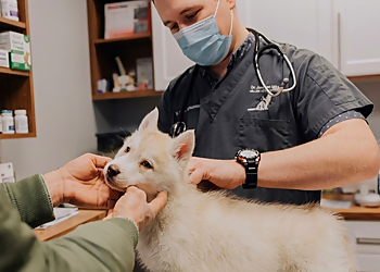 Clinique vétérinaire Ami-Fidèle Inc. - Saint Jean sur Richelieu, QC Veterinary Clinics
