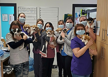 Clinique vétérinaire Animalis - Saint Hyacinthe, QC Veterinary Clinics - Doctor With Patient Image