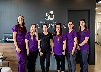 Clinique vétérinaire ST+ONGE - Drummondville, QC Cliniques Vétérinaires - Doctor With Patient Image