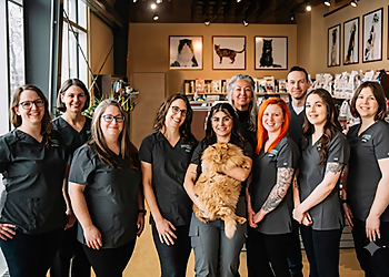 Clinique vétérinaire St-Augustin-de-Mirabel - Mirabel, QC Veterinary Clinics - Doctor With Patient Image