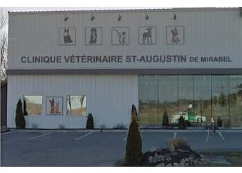 3 Best Veterinary Clinics in Mirabel, QC  Expert Recommendations