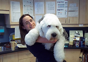 Clinique vétérinaire de Lachenaie Inc. - Terrebonne, QC Veterinary Clinics - Professional Highlights
