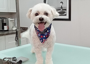 Coquitlam pet grooming Clip Art Grooming