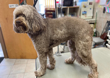 Windsor pet grooming Clippingdale's Salon For Pets