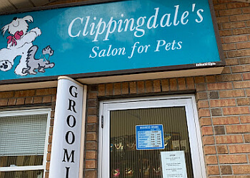 Clippingdale's Salon For Pets