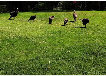 Gatineau Terrains de golf Club de golf Le Sorcier