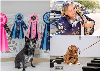 Coquitlam dog trainer Coastal Canine Training Services