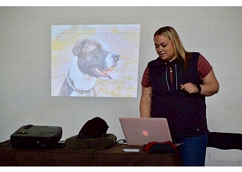 Coquitlam dog trainer Coastal Canine Training Services