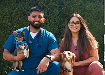 Coastal City Animal Hospital Nanaimo Coastal City Animal Hospital Nanaimo - Nanaimo, BC Veterinary Clinics