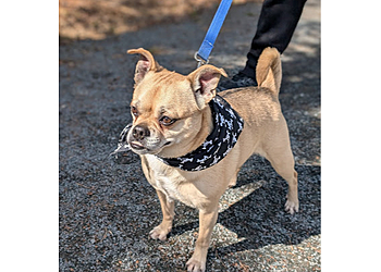 Halifax Cliniques Vétérinaires Cobequid Animal Hospital