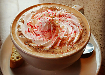 Cambridge cafe Coffee Culture Cafe & Eatery Cambridge