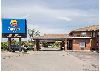 Pickering hotel Comfort Inn image 1