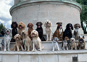 Kitchener Dresseurs De Chiens Complete K9 Inc.