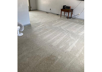 Windsor Nettoyage De Tapis Complete Steam Clean