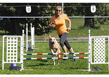 Terrebonne Dresseurs De Chiens Complexe Educatif Canin