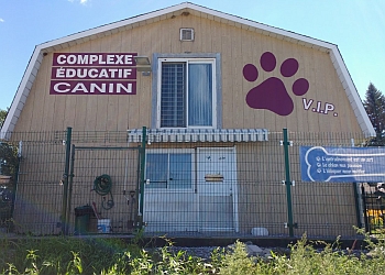 Terrebonne dog trainer Complexe Educatif Canin