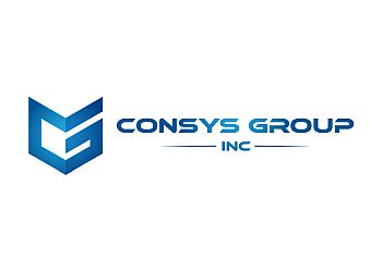 Consys Group Inc.