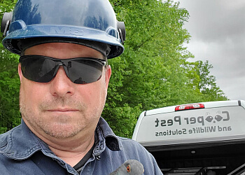 Sarnia Services d'extermination de parasites Cooper Pest & Wildlife Solutions