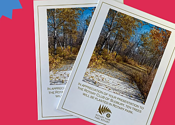 Copy Copy Printing - Sudbury, ON Printers - Brochure Printing Image
