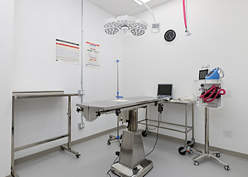 Coquitlam veterinary clinic Coquitlam Animal Hospital