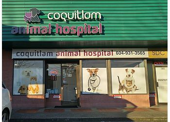Coquitlam veterinary clinic Coquitlam Animal Hospital