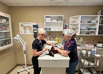 Corman Park Vet Services - Saskatoon, SK Veterinary Clinics - Doctor With Patient Image