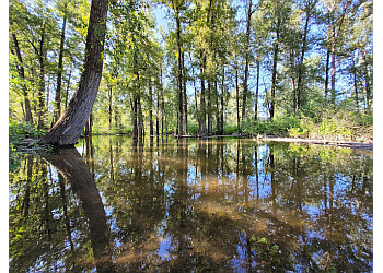 Prince George public park Cottonwood Island Nature Park Trail
