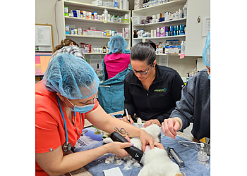 Chilliwack veterinary clinic Cottonwood Veterinary Clinic