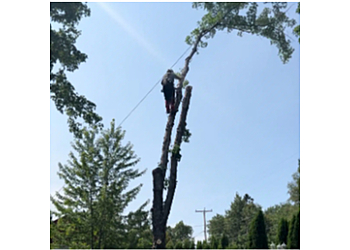 Saguenay tree service Coupe d’arbres Saguenay