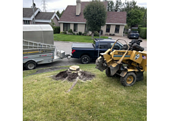 Saguenay tree service Coupe d’arbres Saguenay