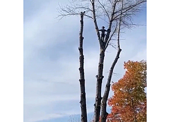 Saguenay Services d'arboriculteur Coupe d’arbres Saguenay