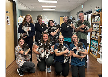 Stratford veterinary clinic Coventry Animal Hospital