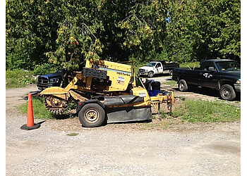 Whitby tree service Cross Bros Tree Service Ltd