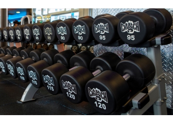 Windsor Gymnases Crunch Fitness Windsor