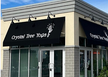 Halton Hills yoga studio Crystal Tree Yoga Inc. image 1