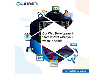 Pickering web designer Cube InfoTech image 1