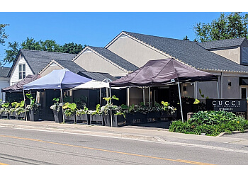 Oakville italian restaurant Cucci