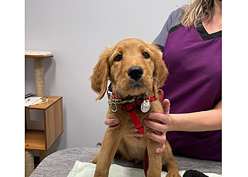 Saskatoon Cliniques Vétérinaires Cumberland Veterinary Clinic