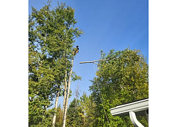 Prince George tree service Cypress Tree Service