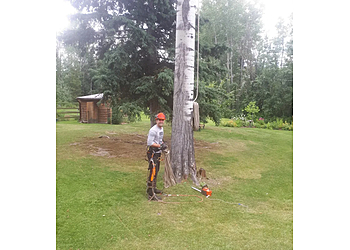 Prince George tree service Cypress Tree Service
