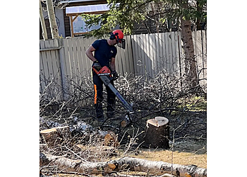 Prince George tree service Cypress Tree Service
