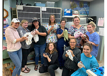 Maple Ridge veterinary clinic Dewdney Animal Hospital