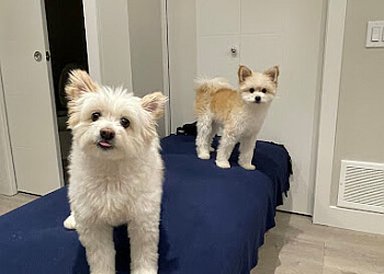 Richmond pet grooming Doggie Doos Grooming Salon