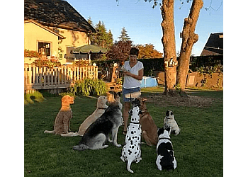 Richmond dog trainer Dog Trainer Shelley