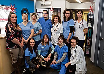 Drummondville veterinary clinic Dre Eve Biron Clinique Vétérinaire Inc.