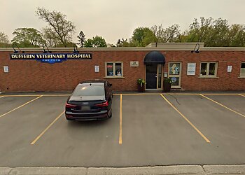 Orangeville veterinary clinic DUFFERIN VETERINARY HOSPITAL image 1