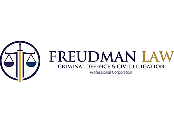 Toronto civil litigation lawyer Daniel Freudman - FREUDMAN LAW