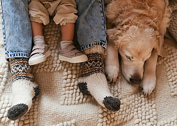 Sherbrooke dry cleaner Daoust Nettoyeurs Écoperformants