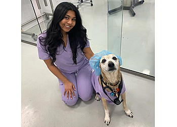 Vaughan veterinary clinic Darlington Veterinary Hospital